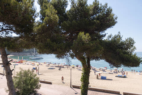 rigat_park_2022_025.jpg